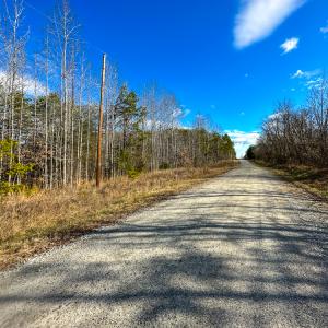 Photo #3 of SOLD property in Off Wilson Road - Lot 5, Providence, NC 14.6 acres