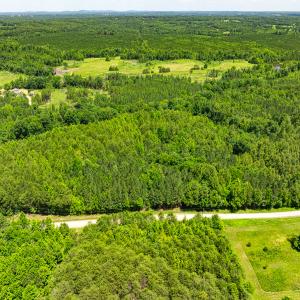 Photo #5 of SOLD property in Off Wilson Road - Lot 5, Providence, NC 14.6 acres