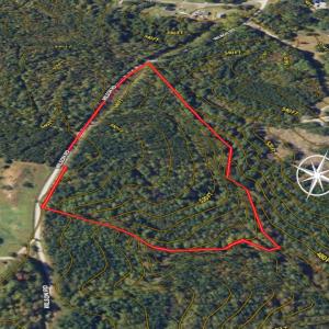 Photo #11 of SOLD property in Off Wilson Road - Lot 5, Providence, NC 14.6 acres
