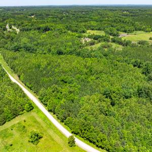 Photo #13 of SOLD property in Off Wilson Road - Lot 5, Providence, NC 14.6 acres