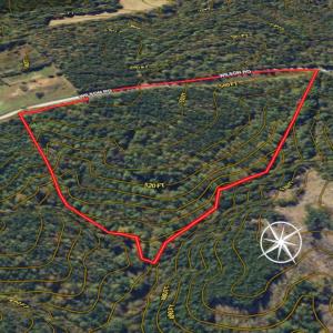 Photo #17 of SOLD property in Off Wilson Road - Lot 5, Providence, NC 14.6 acres