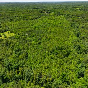 Photo #28 of SOLD property in Off Wilson Road - Lot 5, Providence, NC 14.6 acres