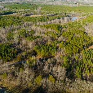 Photo #30 of SOLD property in Off Wilson Road - Lot 5, Providence, NC 14.6 acres
