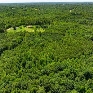 Photo #31 of SOLD property in Off Wilson Road - Lot 5, Providence, NC 14.6 acres