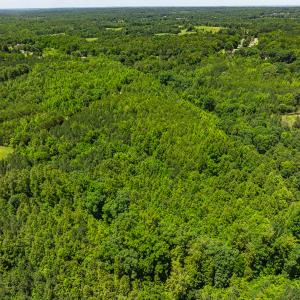 Photo #35 of SOLD property in Off Wilson Road - Lot 5, Providence, NC 14.6 acres