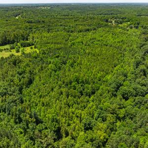 Photo #38 of SOLD property in Off Wilson Road - Lot 5, Providence, NC 14.6 acres