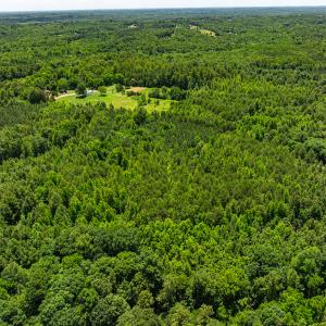 Photo #40 of SOLD property in Off Wilson Road - Lot 5, Providence, NC 14.6 acres