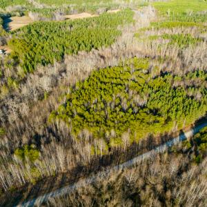 Photo #41 of SOLD property in Off Wilson Road - Lot 5, Providence, NC 14.6 acres