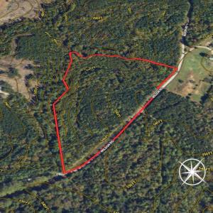 Photo #42 of SOLD property in Off Wilson Road - Lot 5, Providence, NC 14.6 acres