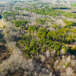 Photo #4 of Off Wilson Road - Lot 6, Providence, NC 33.5 acres
