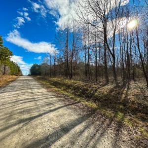 Photo #11 of Off Wilson Road - Lot 6, Providence, NC 33.5 acres