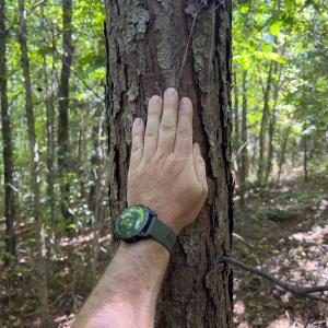 Photo #15 of Off Wilson Road - Lot 6, Providence, NC 33.5 acres
