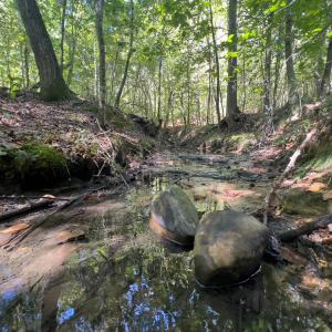 Photo #18 of Off Wilson Road - Lot 6, Providence, NC 33.5 acres