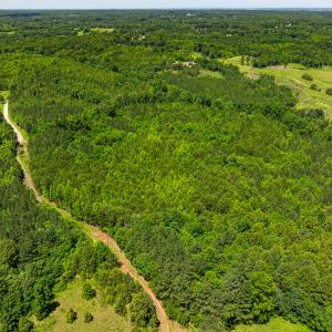 Photo #19 of Off Wilson Road - Lot 6, Providence, NC 33.5 acres