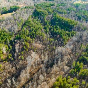 Photo #21 of Off Wilson Road - Lot 6, Providence, NC 33.5 acres