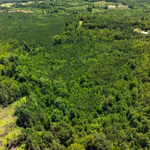 Photo #22 of Off Wilson Road - Lot 6, Providence, NC 33.5 acres