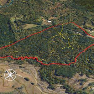 Photo #23 of Off Wilson Road - Lot 6, Providence, NC 33.5 acres