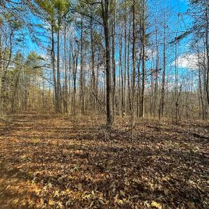 Photo #24 of Off Wilson Road - Lot 6, Providence, NC 33.5 acres
