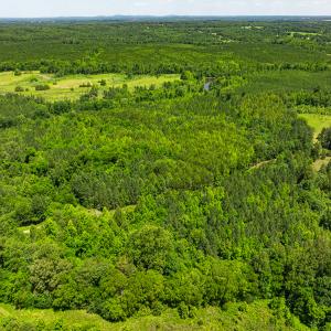 Photo #33 of Off Wilson Road - Lot 6, Providence, NC 33.5 acres