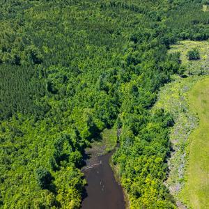 Photo #35 of Off Wilson Road - Lot 6, Providence, NC 33.5 acres