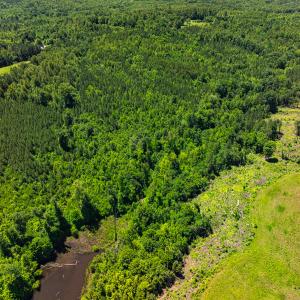 Photo #38 of Off Wilson Road - Lot 6, Providence, NC 33.5 acres