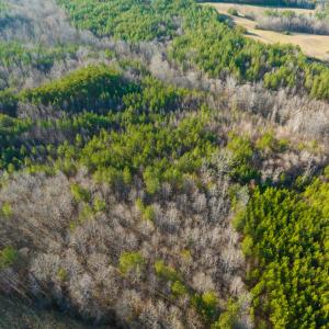 Photo #41 of Off Wilson Road - Lot 6, Providence, NC 33.5 acres