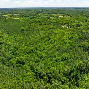Photo #48 of Off Wilson Road - Lot 6, Providence, NC 33.5 acres