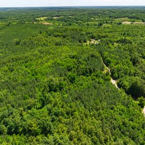 Photo #49 of Off Wilson Road - Lot 6, Providence, NC 33.5 acres