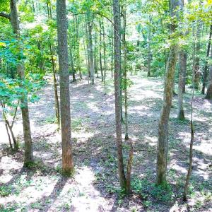 Photo #5 of Off Bank Street, Waverly, VA 4.4 acres