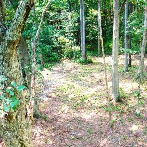 Photo #6 of Off Bank Street, Waverly, VA 4.4 acres