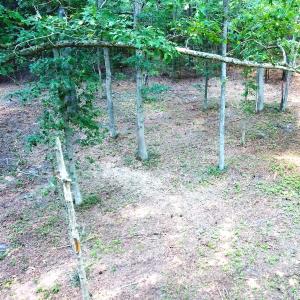 Photo #7 of Off Bank Street, Waverly, VA 4.4 acres