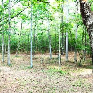Photo #8 of Off Bank Street, Waverly, VA 4.4 acres