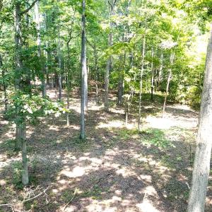 Photo #9 of Off Bank Street, Waverly, VA 4.4 acres