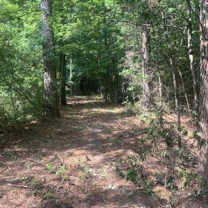 Photo #10 of Off Bank Street, Waverly, VA 4.4 acres