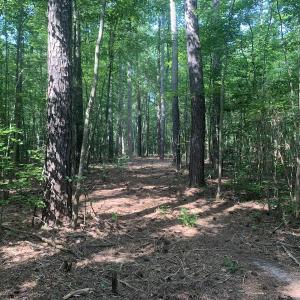 Photo #11 of Off Bank Street, Waverly, VA 4.4 acres