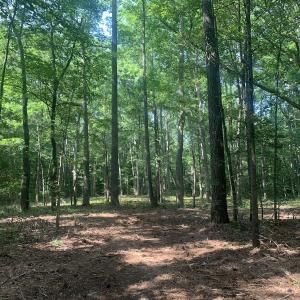 Photo #12 of Off Bank Street, Waverly, VA 4.4 acres