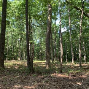 Photo #14 of Off Bank Street, Waverly, VA 4.4 acres