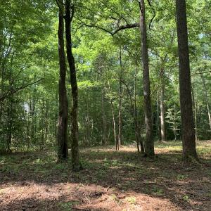 Photo #15 of Off Bank Street, Waverly, VA 4.4 acres