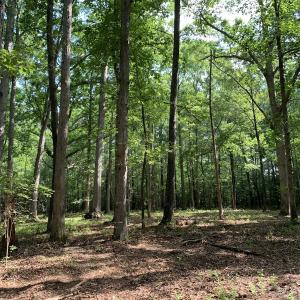 Photo #16 of Off Bank Street, Waverly, VA 4.4 acres
