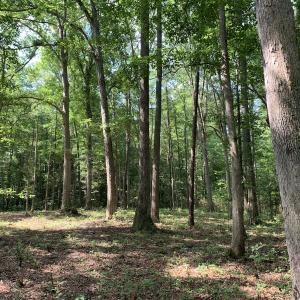 Photo #23 of Off Bank Street, Waverly, VA 4.4 acres