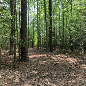 Photo #25 of Off Bank Street, Waverly, VA 4.4 acres