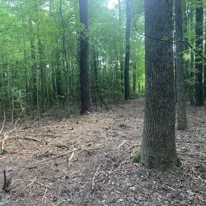 Photo #27 of Off Bank Street, Waverly, VA 4.4 acres