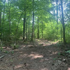 Photo #28 of Off Bank Street, Waverly, VA 4.4 acres