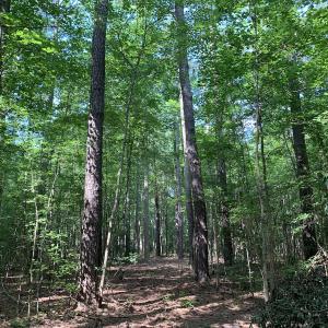 Photo #29 of Off Bank Street, Waverly, VA 4.4 acres