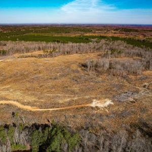 Photo #5 of SOLD property in Off Pole Run Rd, Disputanta, VA 114.0 acres