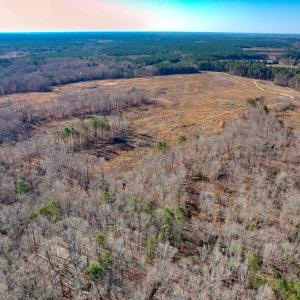 Photo #17 of SOLD property in Off Pole Run Rd, Disputanta, VA 114.0 acres