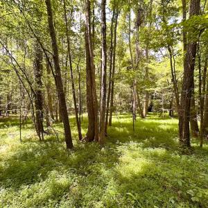Photo #2 of SOLD property in Off Rolling Acres Rd, Skippers, VA 3.0 acres