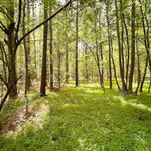 Photo #4 of SOLD property in Off Rolling Acres Rd, Skippers, VA 3.0 acres