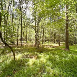 Photo #6 of SOLD property in Off Rolling Acres Rd, Skippers, VA 3.0 acres