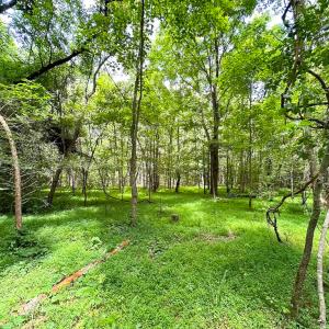 Photo #8 of SOLD property in Off Rolling Acres Rd, Skippers, VA 3.0 acres
